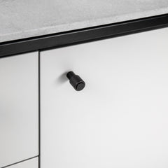Buster & Punch Cast Cabinet Knob