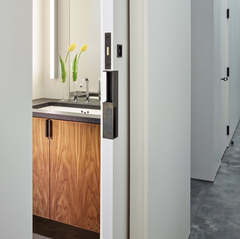 Tom Kundig - No Peek Sliding Door Pull