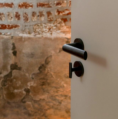 Formani INC-PBI101-G Lever Handle on Rose