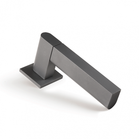 Close Up Lever Handle on Rose