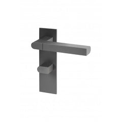 Close Up Lever Handle on Rose