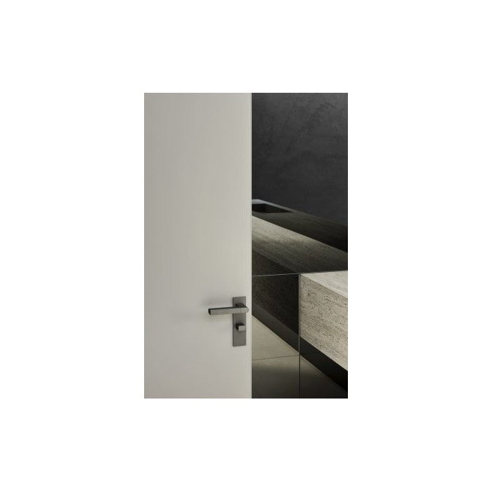 Close Up Lever Handle on Rose