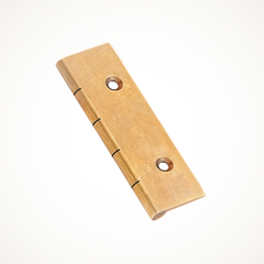 205 | Dummy Hinge