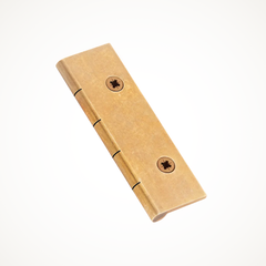 205 | Dummy Hinge