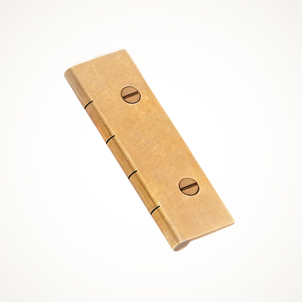 205 | Dummy Hinge