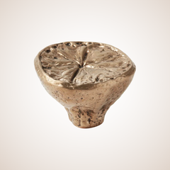 Highbury | Lemon Cabinet Knob