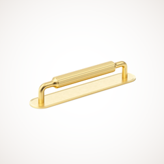 Barwick | Ridged Cabinet Handle with Backplate