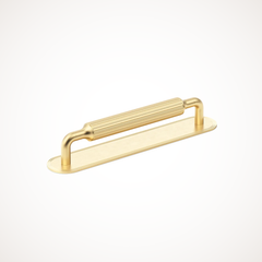Barwick | Ridged Cabinet Handle with Backplate