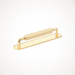 Barwick | Ridged Cabinet Handle with Backplate
