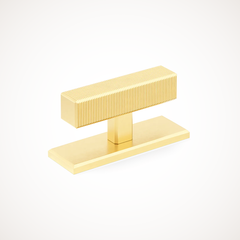 Digbeth | Ridged T-Bar Handle with Backplate