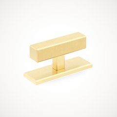 Digbeth | Ridged T-Bar Handle with Backplate