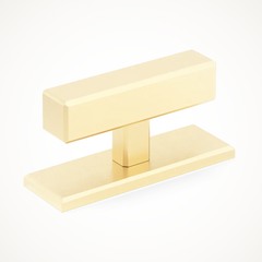 Digbeth | Plain T-Bar Handle with Backplate