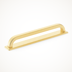 Dougan | Cabinet Handle with Backplate
