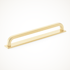 Dougan | Appliance Pull with Backplate