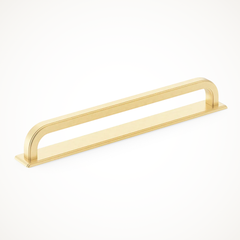 Dougan | Appliance Pull with Backplate