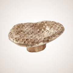 Highbury | Honey Oval Pull Handle