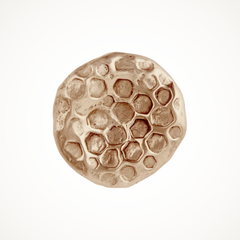 Highbury | Small Honey Cabinet Knob
