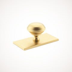Queslett | Cabinet Knob with Rectangular Backplate