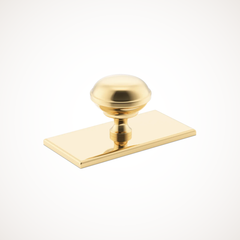 Queslett | Cabinet Knob with Rectangular Backplate