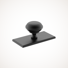 Queslett | Cabinet Knob with Rectangular Backplate