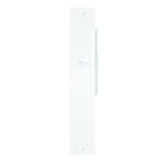 Formani - One -  PBT15P236SFC Unsprung T-Lever Handle on Plate