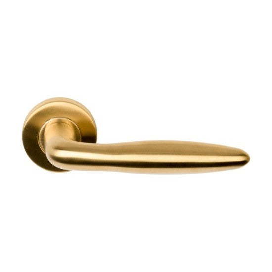 Formani BASICS - LB18-Solid Sprung Lever Handle on Rose