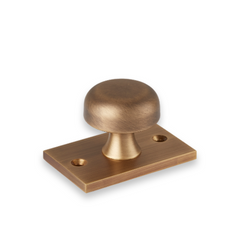 Washwood Solid Brass Cabinet Knob with Backplate