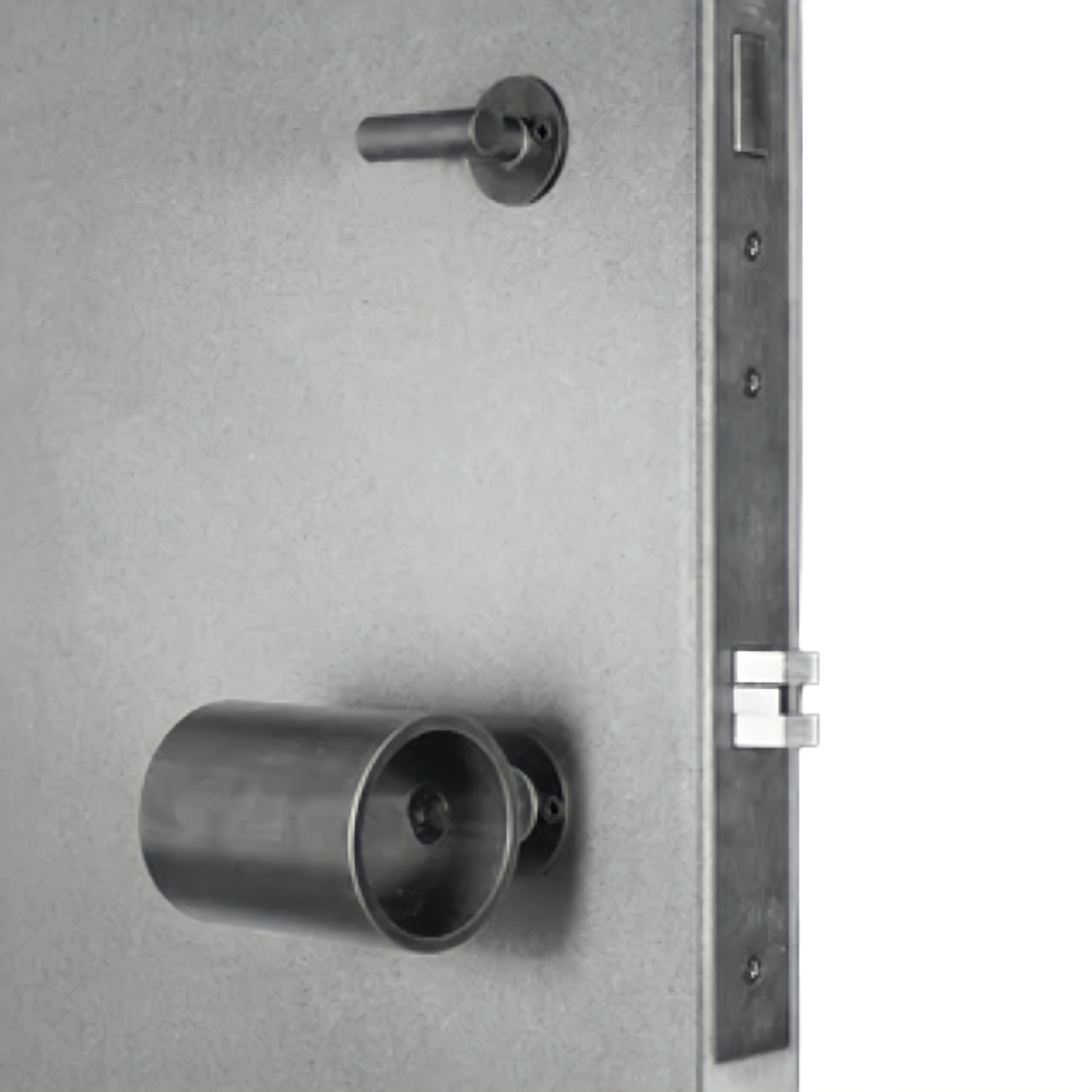 Tom Kundig tKnobler Rose Entry Door Handle Set Spark Burnish