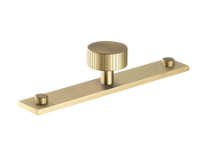 Mix2 Straight Knurled Knob with Back Plate